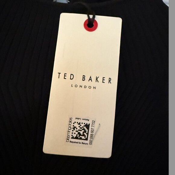 NWT  -- TED BAKER Corino Mockable Pleated Dress (Size 1) - Picture 3 of 5